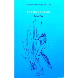 The Blue-greens (Studies in Biology)