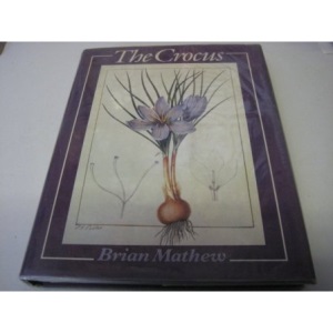The Crocus