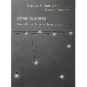 Consciousness: How Matter Becomes Imagination