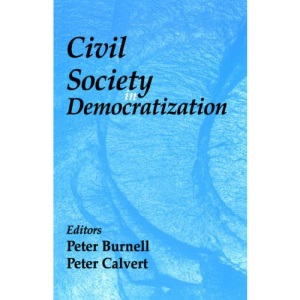 Civil Society in Democratization (Democratization Studies)