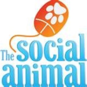 Social Animal
