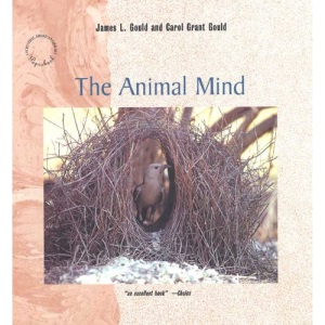 The Animal Mind (Scientific American Library)