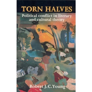 Torn Halves: Political Conflict in Literary and Cultural Theory