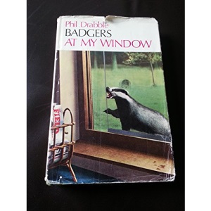 Badgers at My Window