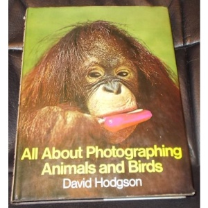 All About Photographing Animals and Birds