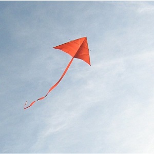 The Kite (Sunstart): The Kite Bk.3 (Learn to Read Other)