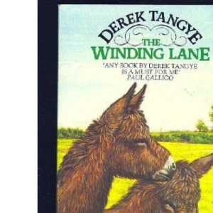 Winding Lane