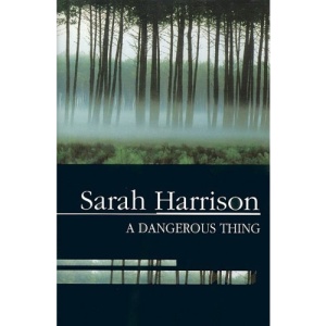 A Dangerous Thing (Severn House Large Print)