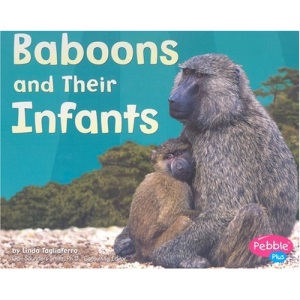 Baboons and Their Infants (Pebble Plus: Animal Offspring)