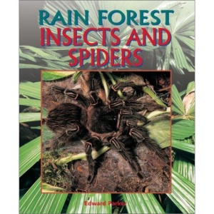 Insects and Spiders (Rain Forest (Rain Tree))