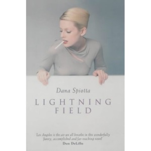 Lightning Field