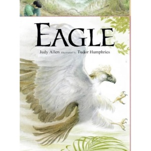Eagle (Animals at Risk)