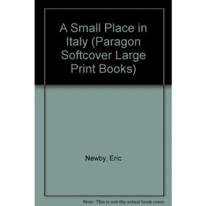 A Small Place in Italy (Paragon Softcover Large Print Books)