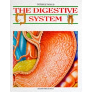 The Digestive System (Invisible World S.)