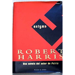 Enigma (Windsor Selections S.) Large Print
