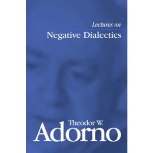 Lectures on Negative Dialectics: Fragments of a Lecture Course 1965/1966