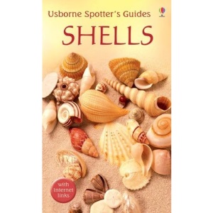 Shells (Usborne Spotter's Guide)