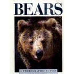 Bears: A Photographic Survey