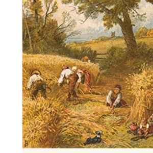 Victorian Country Life: 679 (Shire Library)