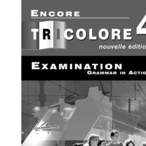 Examination Grammar in Action (Stage 4) (Encore Tricolore 4 - Examination Grammar in Action)