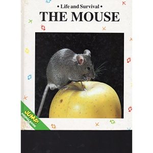 The Mouse (Life & Survival)