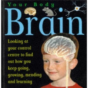 Brain (Your Body)