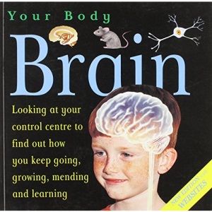 Brain (Your Body)