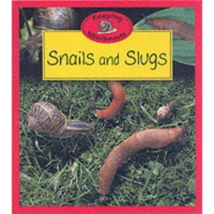 Snails and Slugs (Keeping Minibeasts)