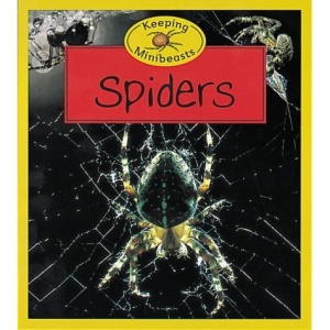 Spiders (Keeping Minibeasts)