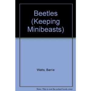Beetles (Keeping Minibeasts)