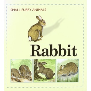 Rabbit (Small Furry Animals)