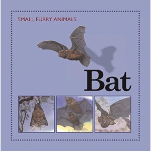 Bat (Small Furry Animals)