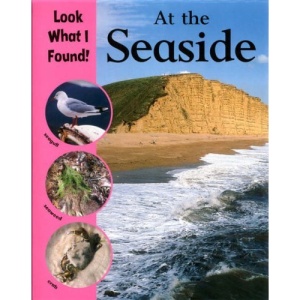 At the Seaside (Look What I Found!)