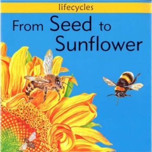 From Seed To Sunflower (Lifecycles)
