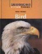 Bird (Living Things)