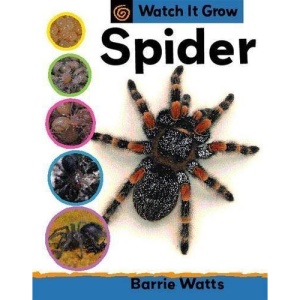 Spider (Watch It Grow)