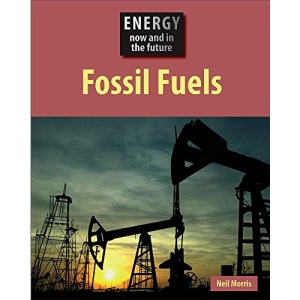 Fossil Fuels (Energy Now and In the Future)