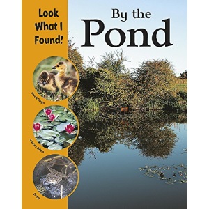 By the Pond (Look What I Found!)