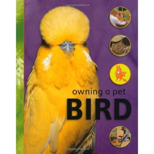 Bird (Owning A Pet)