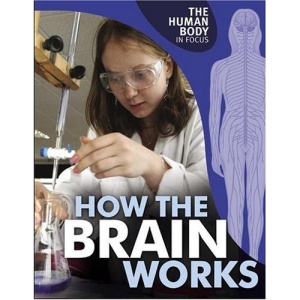 How the Brain Works (The Human Body in Focus)