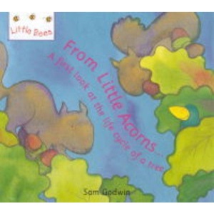 From Little Acorns: A First Look at the Life Cycle of a Tree (Little Bees)