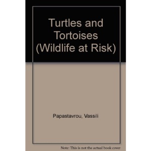 Turtles and Tortoises (Wildlife at Risk)