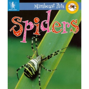 Spiders (Minibeast Pets)