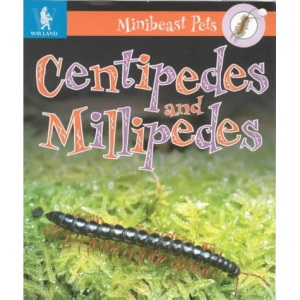Millipedes and Centipedes (Minibeast Pets)