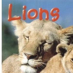 In The Wild: Lions