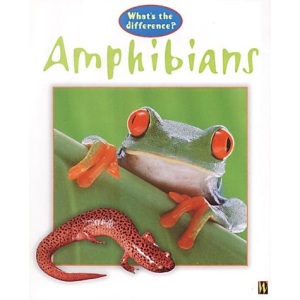 Amphibians (What's the Difference?)