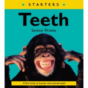 Starters: Teeth