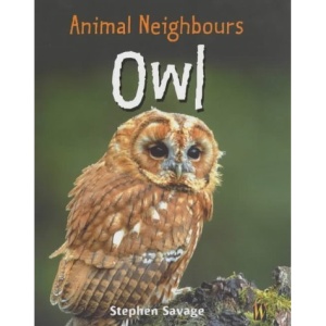 Owl (Animal Neighbours)