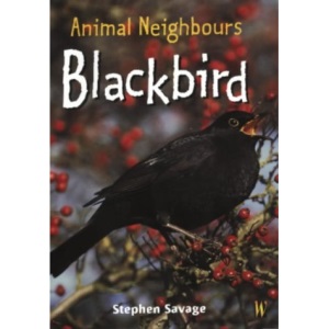 Blackbird (Animal Neighbours)