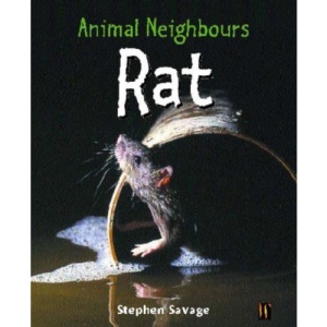 Rat (Animal Neighbours)